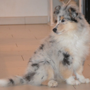 DSC_0141.jpg