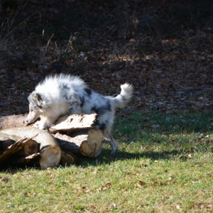 DSC_1037.JPG