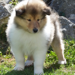 DSC_0487.JPG
