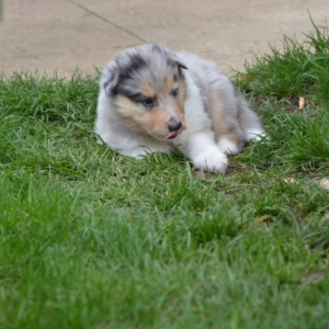 DSC_0043.JPG