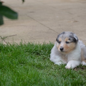 DSC_0044.JPG