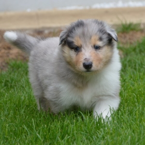 DSC_0079.jpg