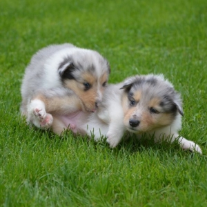 DSC_0092.JPG