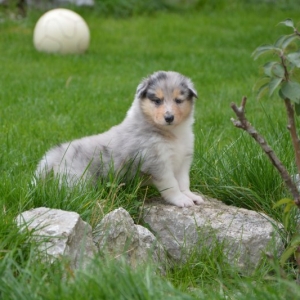 DSC_0121.JPG