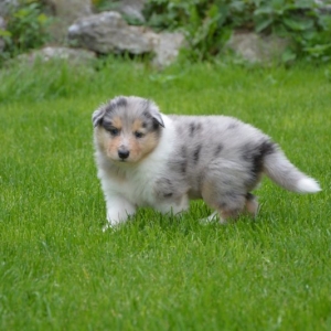 DSC_0132.JPG