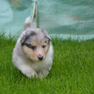 DSC_0197.JPG