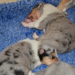 DSC_0355.JPG