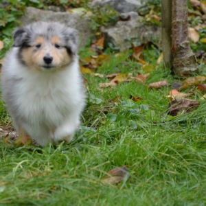 DSC_0279.JPG