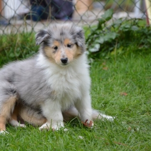 DSC_0317.JPG