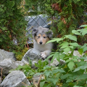DSC_0327.JPG