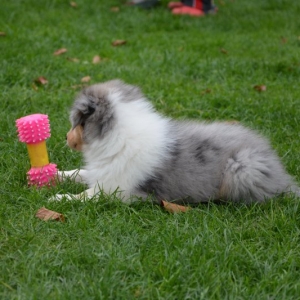 DSC_0347.JPG