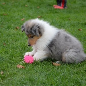 DSC_0348.JPG