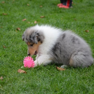 DSC_0349.JPG