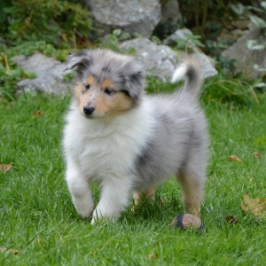 DSC_0370.jpg