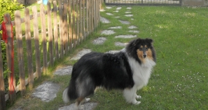 dscn0620_0