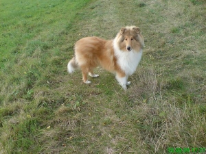 jacko012