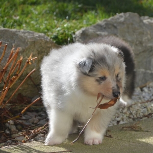 DSC_0774.jpg