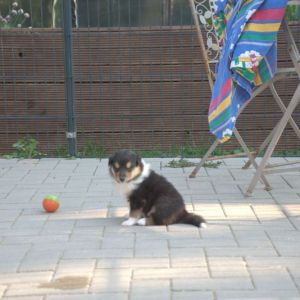DSC1576_ergebnis