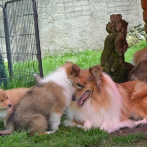 DSC_0523 (1)
