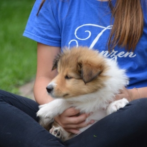 DSC_0581