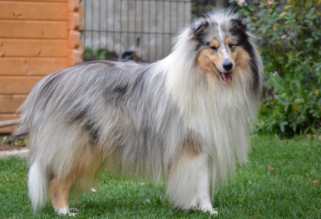 Maxx - 2,5 Jahre