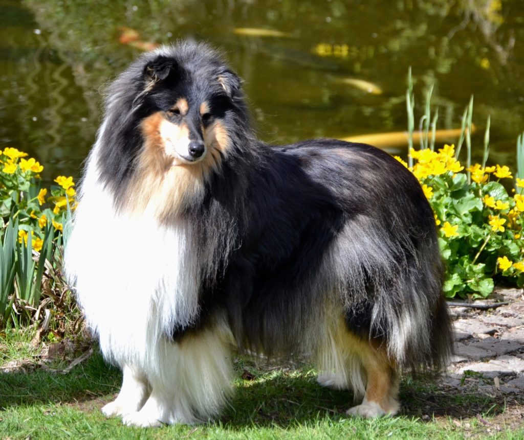 Cathy, 4 Jahre
