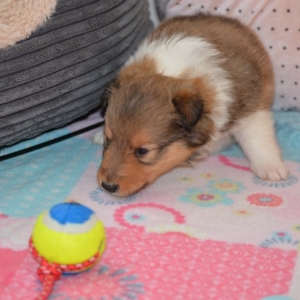 DSC_0170.JPG