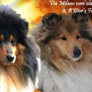 zoemilo