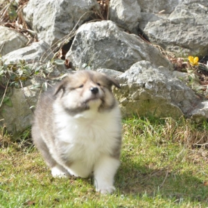 DSC_0194.JPG