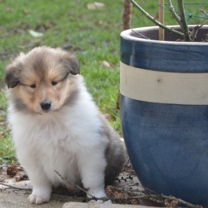DSC_0228.JPG