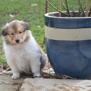 DSC_0229.JPG