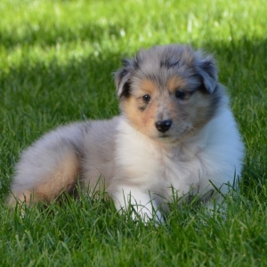 M - Wurf - 103 von 191.jpg