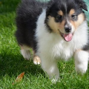 M - Wurf - 105 von 177.jpg