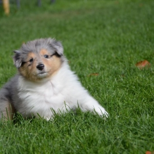 M - Wurf - 107 von 177.jpg