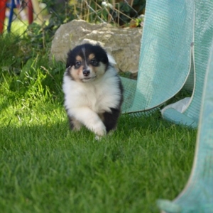 M - Wurf - 113 von 191.jpg