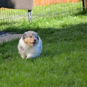 M - Wurf - 121 von 191.jpg