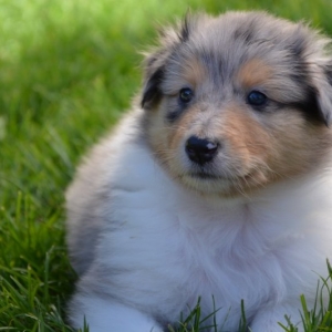 M - Wurf - 149 von 191.jpg