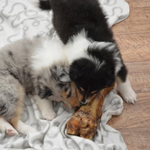 M - Wurf - 151 von 191.jpg