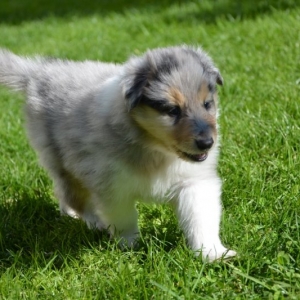 M - Wurf - 17 von 191.jpg