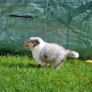 M - Wurf - 81 von 177.jpg