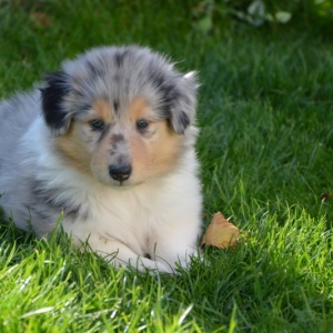 M - Wurf - 87 von 177.jpg