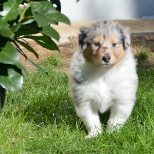 M - Wurf - 84 von 191.jpg