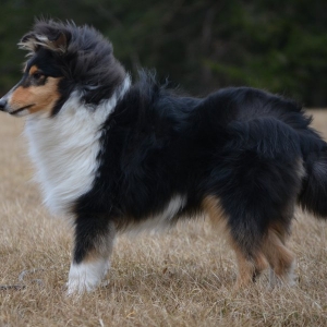 DSC_1045.jpg
