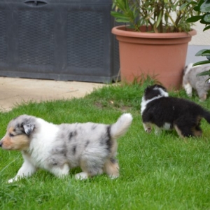 DSC_0058.JPG