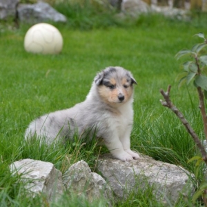 DSC_0123.JPG