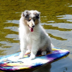 23Gracy die Wasserratte