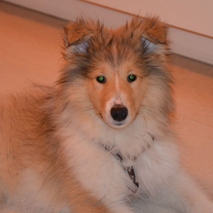 roger und fenja 5 tage alt 008-2