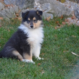 DSC_0730.JPG