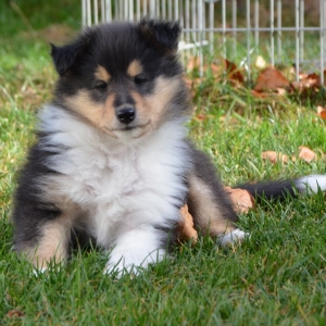 DSC_0743.jpg