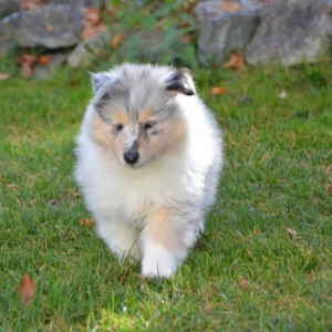 DSC_0718.JPG